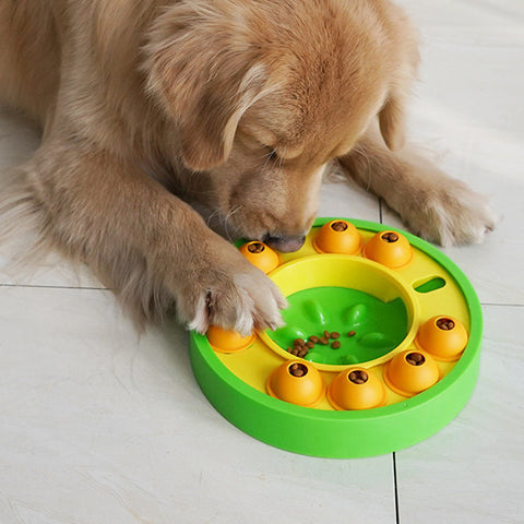 Interactive Puppy IQ Increase Toy