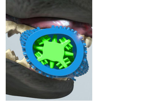Pet Toothbrush Toy