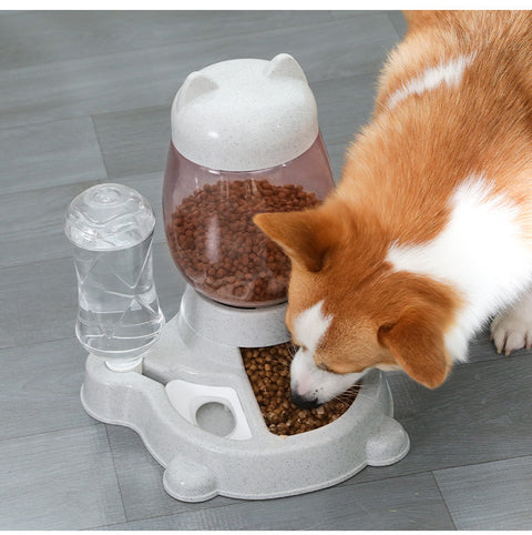 Automatic Pet Feeder Machine