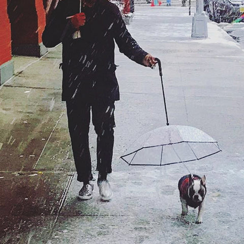 Pet's Transparent Umbrella with Traction Chain
