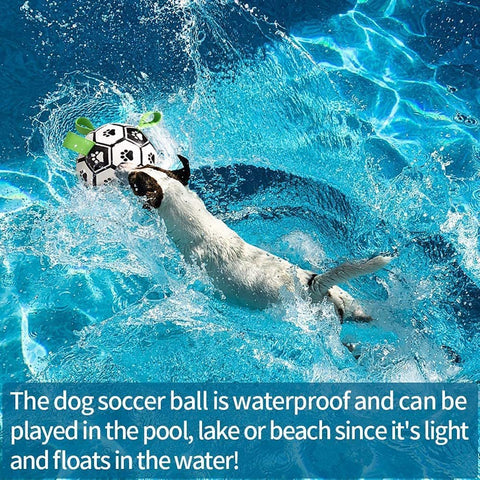 Football Toy For Dogs