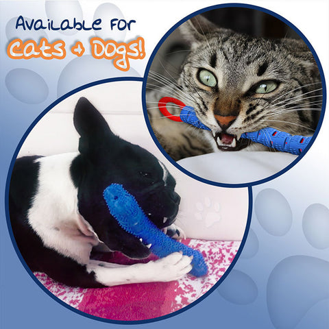 Pet Toothbrush Toy