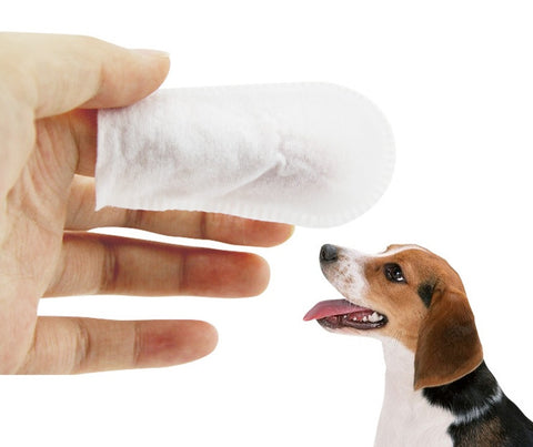 Pet Cleaning Wipes