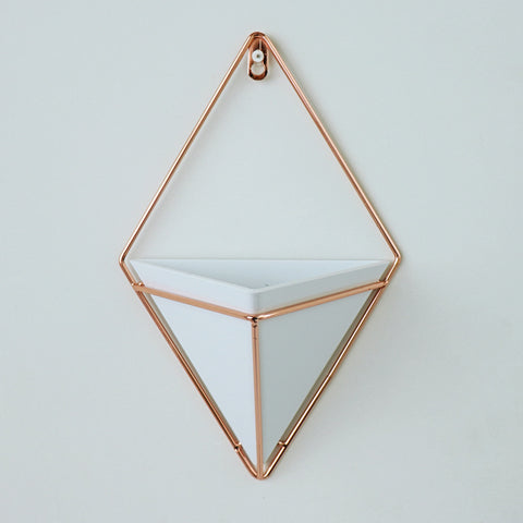 Geometric Hanging Planter