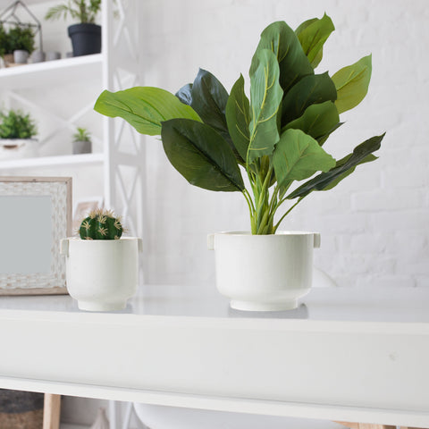 Ceramic Plant Pot Set with Handles - Indoor & Outdoor Planters - Aged White Gloss Finish