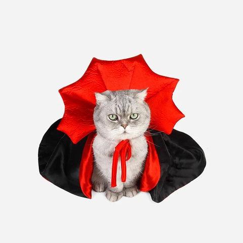 Cute Vampire Theme Cat Costume