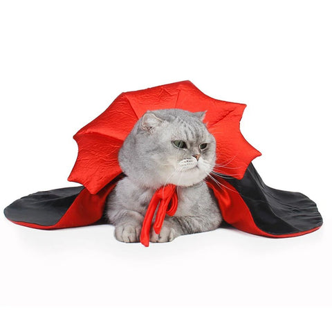 Cute Vampire Theme Cat Costume