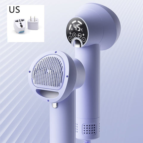 Pet Hair Dryer and Brush