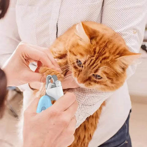 LED-Illuminated Pet Nail Clippers