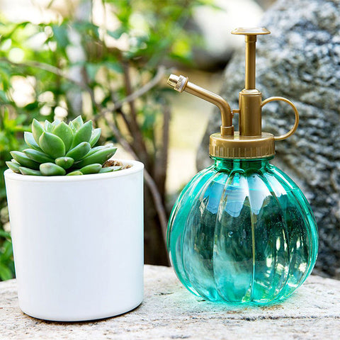 Plant Watering Spray Bottle