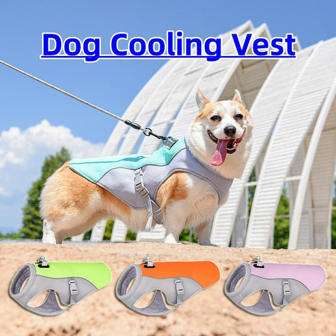 Outdoor Walking Vest For Pet's