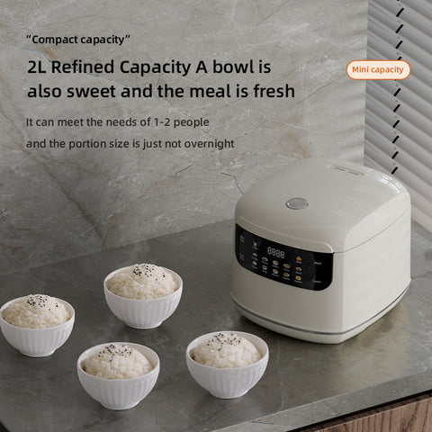 Multi-function Rice Cooker