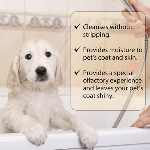 Lyegbong Dog Shampoo