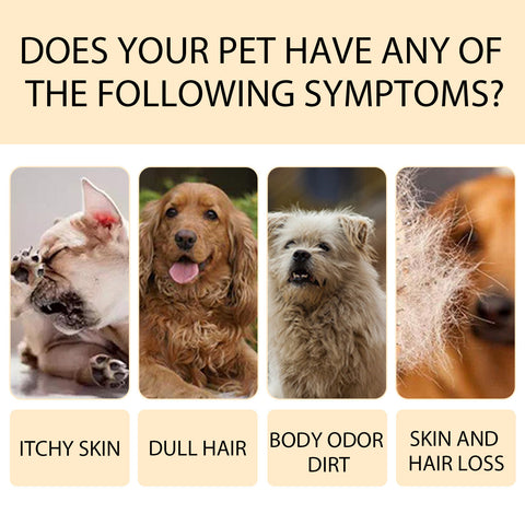 Lyegbong Dog Shampoo