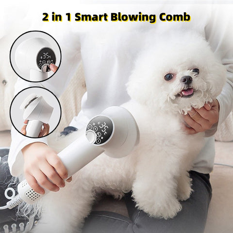 Pet Hair Dryer and Brush