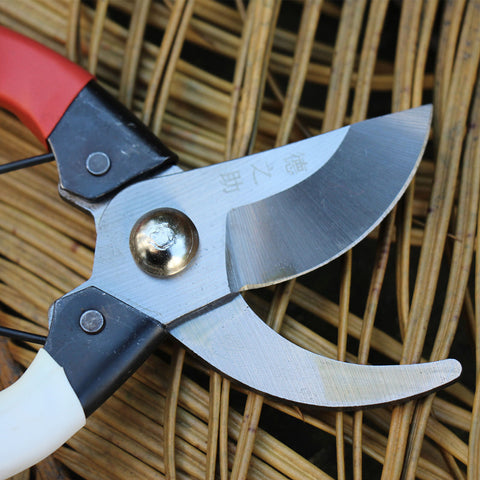 Labor-Saving Garden Pruning Shear