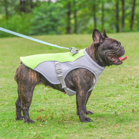 Outdoor Walking Vest For Pet's