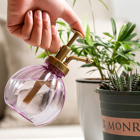 Plant Watering Spray Bottle