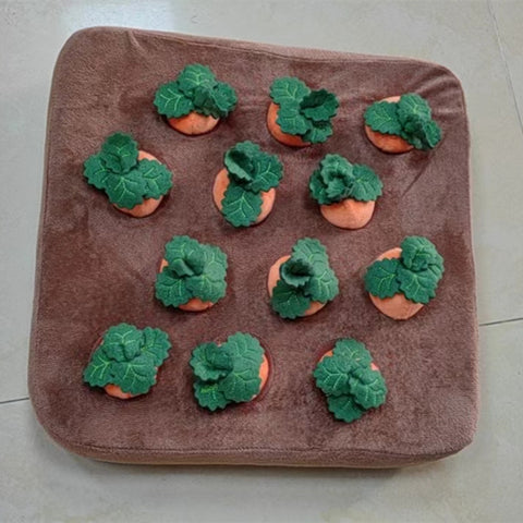 Carrot Plush Toy for Pets