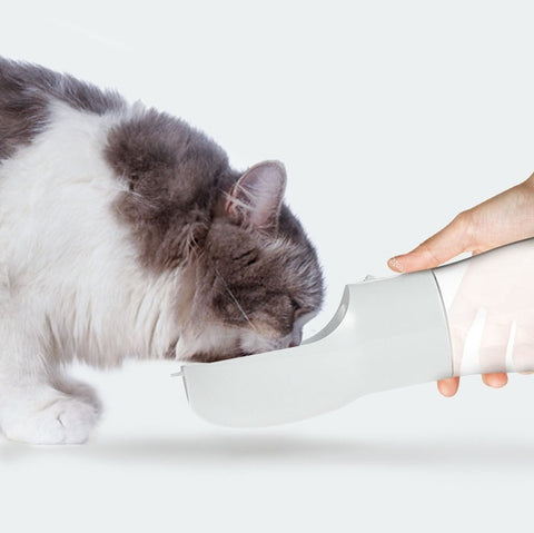 Portable Pet Water Bottle