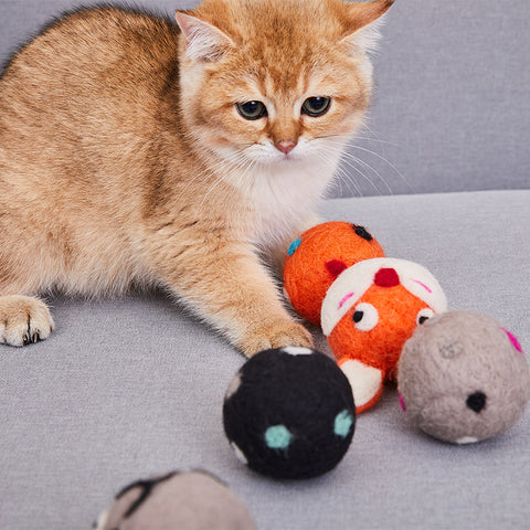 Wool Buddy Cat Toys