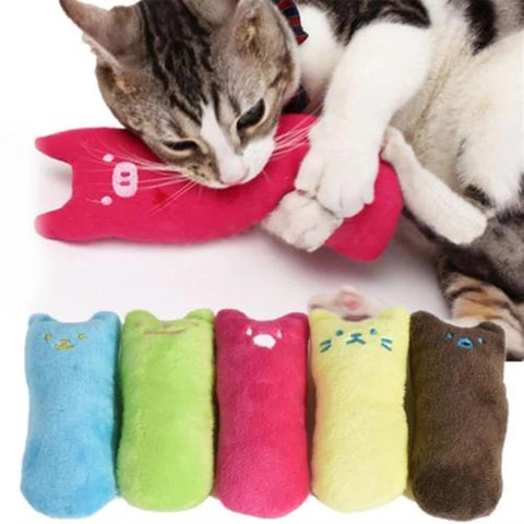 Catnip Cat Toy Set