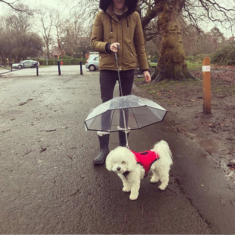 Pet's Transparent Umbrella with Traction Chain