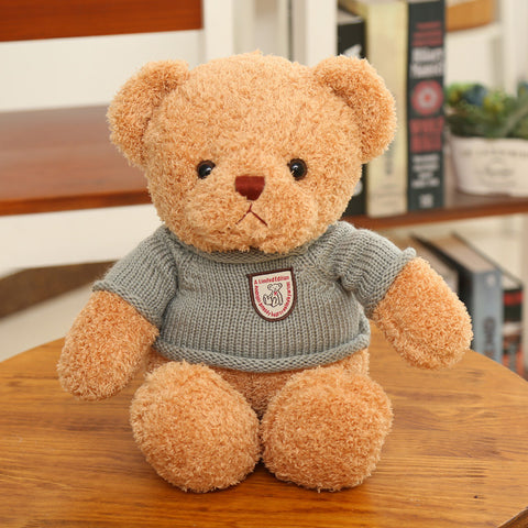 Small Plush Teddy Bear