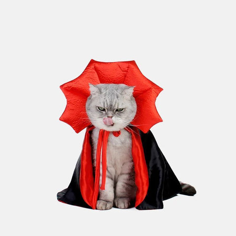 Cute Vampire Theme Cat Costume