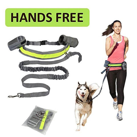 Carriers & Accessories