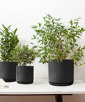 Matt Black Plant Pots Garden Planters Set 3 Indoor Outdoor Ceramic Flower Pots round with Saucers