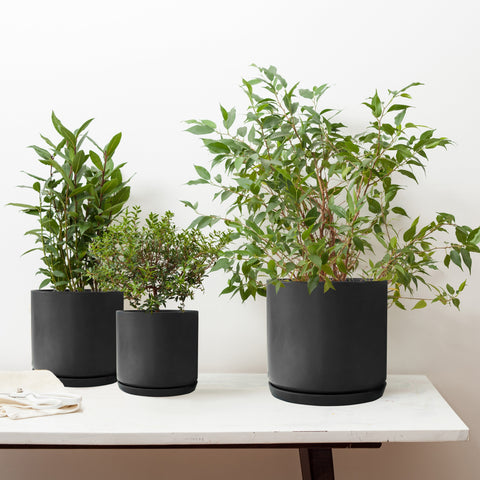 Matt Black Plant Pots Garden Planters Set 3 Indoor Outdoor Ceramic Flower Pots round with Saucers