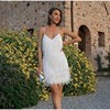 Sexy Tassel Sequins Feather Mini Dress