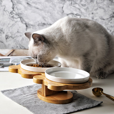 Ceramic Bowls for Cats