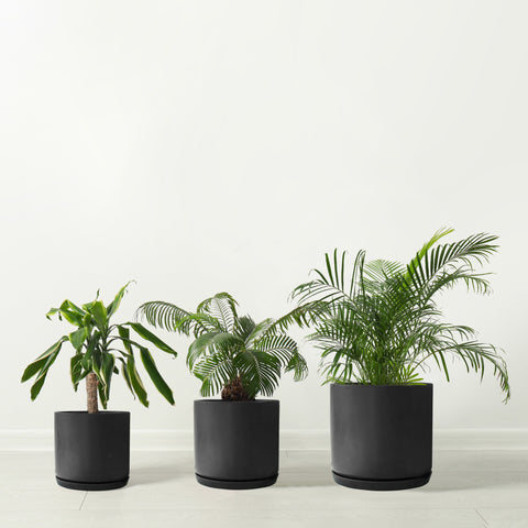 Matt Black Plant Pots Garden Planters Set 3 Indoor Outdoor Ceramic Flower Pots round with Saucers