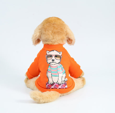 Cute Hoodies for Pets