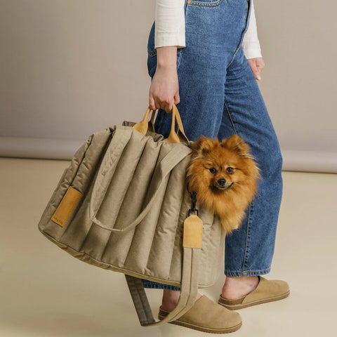 Handbag Style Pet Carrier
