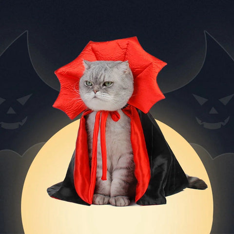 Cute Vampire Theme Cat Costume