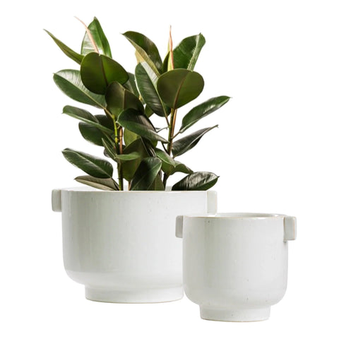 Ceramic Plant Pot Set with Handles - Indoor & Outdoor Planters - Aged White Gloss Finish