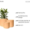 Rome Terracotta Plant Pots Garden Planters Set 3 Indoor Outdoor Ceramic Plant Pots with Saucers