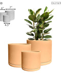 Rome Terracotta Plant Pots Garden Planters Set 3 Indoor Outdoor Ceramic Plant Pots with Saucers