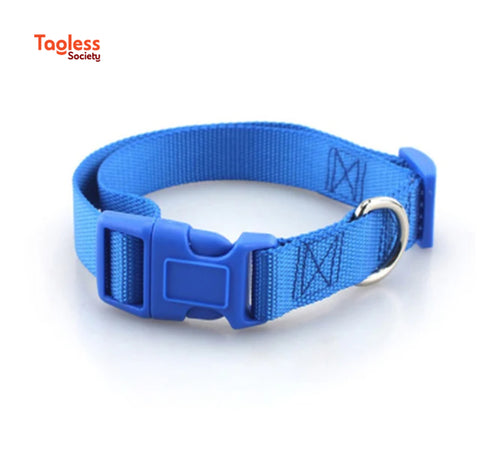 Carriers & Accessories