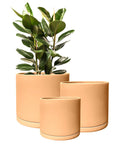 Rome Terracotta Plant Pots Garden Planters Set 3 Indoor Outdoor Ceramic Plant Pots with Saucers