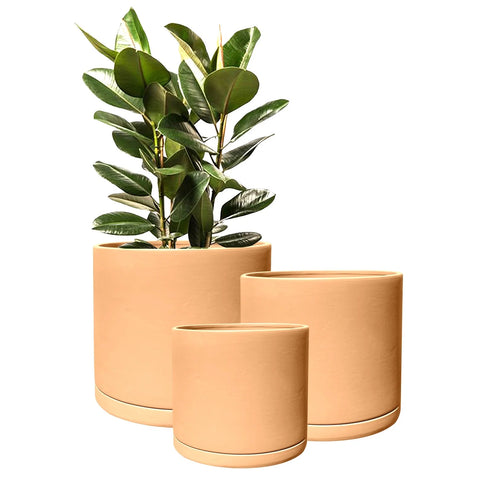 Rome Terracotta Plant Pots Garden Planters Set 3 Indoor Outdoor Ceramic Plant Pots with Saucers