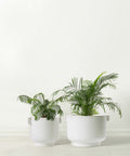 Ceramic Plant Pot Set with Handles - Indoor & Outdoor Planters - Aged White Gloss Finish