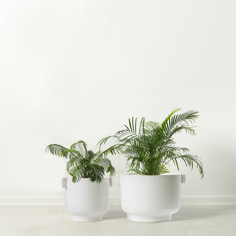 Ceramic Plant Pot Set with Handles - Indoor & Outdoor Planters - Aged White Gloss Finish