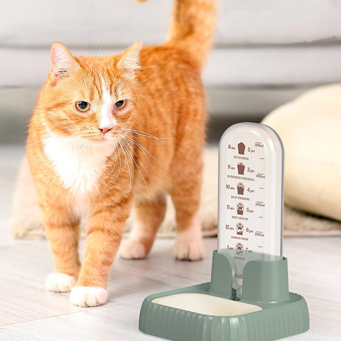Cat And Dog Drinking Fountain
