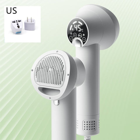 Pet Hair Dryer and Brush